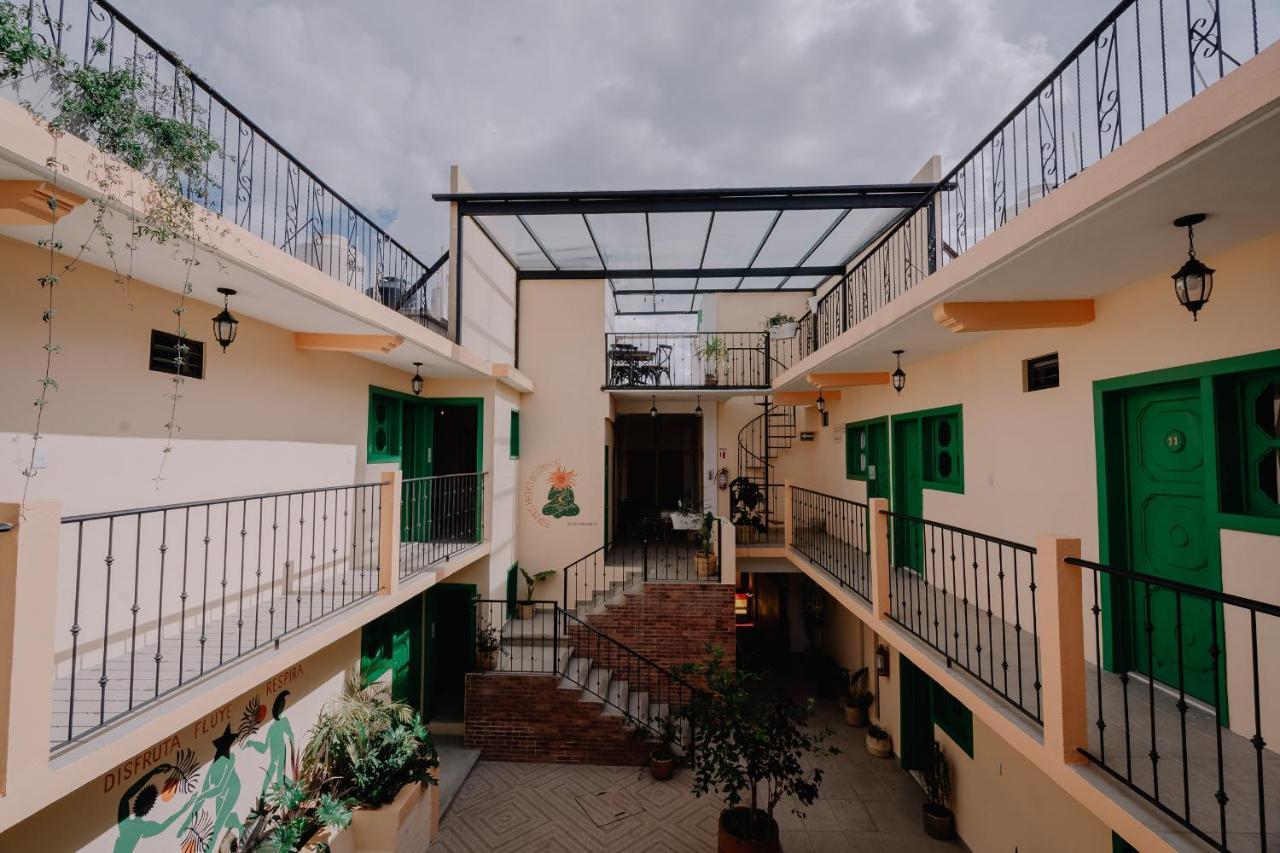 Hotel Cielo Y Selva, San Cristobal De Las Casas Exterior photo